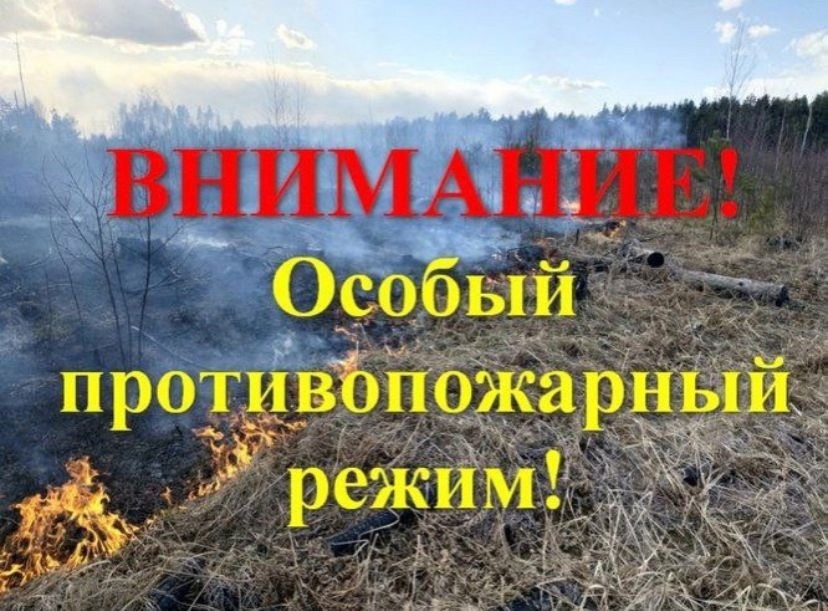 режим.jpg